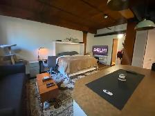 Sublet: Parkdale Loft (Studio) for 3-6 months - Photo 5