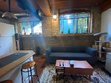 Sublet: Parkdale Loft (Studio) for 3-6 months - Photo 11