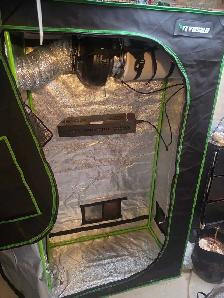 Grow Tent - Photo 9