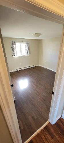 2 BEDROOM APARTMENT(1YR-LEASE) FOR RENT IN BEAUTIFUL ST-ANTOINE! - Photo 4