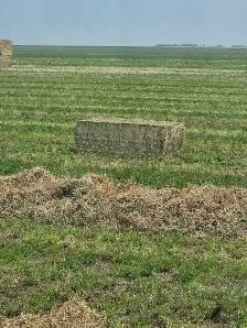 2026 alfalfa and alfalfa/grass bales - Photo 2