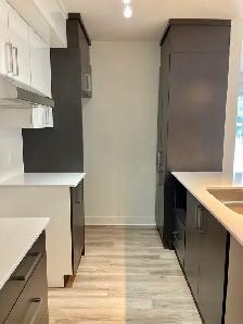 Beau 3 1/2 Lachenaie, 1er octobre, 1725$, ascenseur et garage - Photo 3