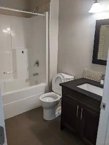 Brand new 6 bedroom St .Albert Country Living Available now - Photo 7
