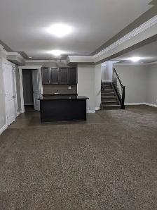 Brand new 6 bedroom St .Albert Country Living Available now - Photo 10