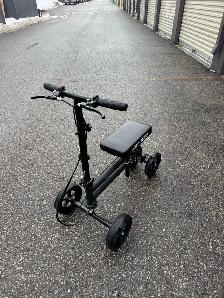 KNEE ROVER: DELIVERY INCLUDED - Photo 3