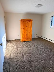 SPACIOUS AND COZY 2 BEDROOMS IN KING EDWARD-BONNIE DOON - Photo 3