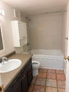 SPACIOUS AND COZY 2 BEDROOMS IN KING EDWARD-BONNIE DOON - Photo 4