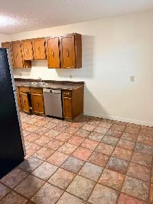 SPACIOUS AND COZY 2 BEDROOMS IN KING EDWARD-BONNIE DOON - Photo 5