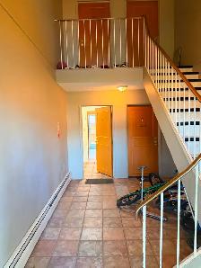 SPACIOUS AND COZY 2 BEDROOMS IN KING EDWARD-BONNIE DOON - Photo 8