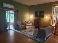Beautiful Modern Cottage-Haliburton, Ont. - Photo 3