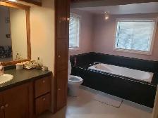 Beautiful Modern Cottage-Haliburton, Ont. - Photo 4
