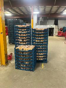 from midnight to 8am  26$ hourly - Photo 4