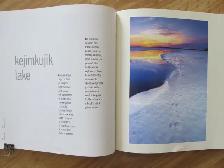 KEJI by Dale Wilson - 2007 Signed - Photo 8