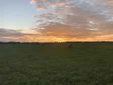 Casual/Part time farm hand - Photo 2