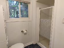 All Inclusive Private Furnished Bedroom near Carleton/Algonquin - Photo 7