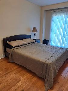 Furnished 1 Bedroom Mississauga for rent: Oct.01 2026 Rent $2100 - Photo 9