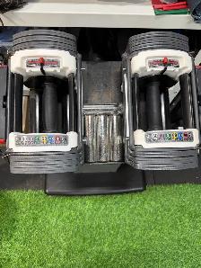 PowerBlocks - Set and Stand 50lbs each