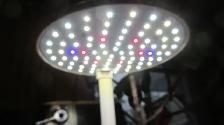 Aerogarden automated hydroponic system - Photo 2