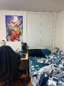 BASEMENT ROOM FOR RENT NEAR SCARBOROUGH TOWN CENTRE - Photo 4