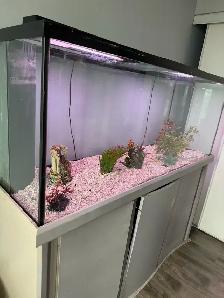 120 gallon Aquarium tank including lights, gravel decoration as - Photo 2