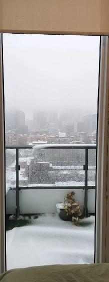 Bedroom for rent (city view)-$1250 - Photo 7