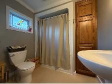 436 Windgap Rd - Flatrock - Photo 16