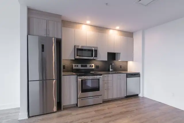 appartement 4 1/2 dans le plateau mont-royal - ID 3487