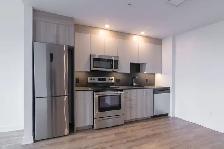 appartement 4 1/2 dans le plateau mont-royal - ID 3487