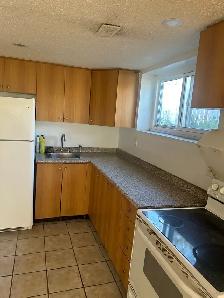 one bedroom basement appartment for rent