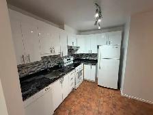 New Bois-Franc renovated Condo 4 1/2 renovated for rent, - Photo 7
