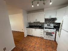New Bois-Franc renovated Condo 4 1/2 renovated for rent, - Photo 8