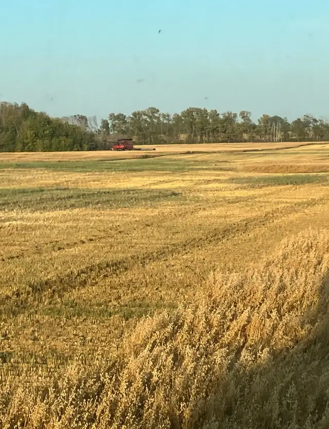 Grain Cart Operator Farm Help