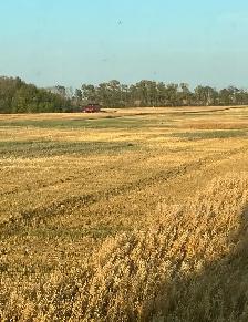 Grain Cart Operator Farm Help