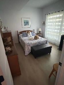 condo cessation de bail - Photo 3
