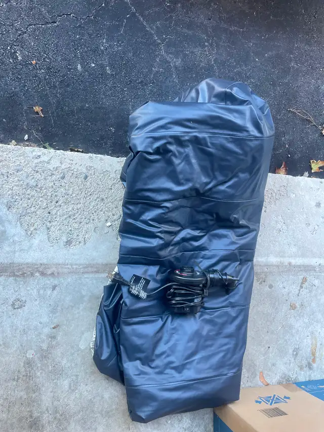 Free air bed with pump queen