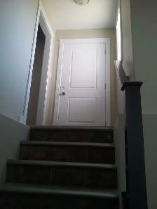 Basement suite 2 Beds 1 Bath in Rosewood - Photo 3