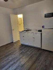 BACHELOR/STUDIO APARTMENTS FOR RENT IN A HOUSE