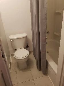 BACHELOR/STUDIO APARTMENTS FOR RENT IN A HOUSE - Photo 5