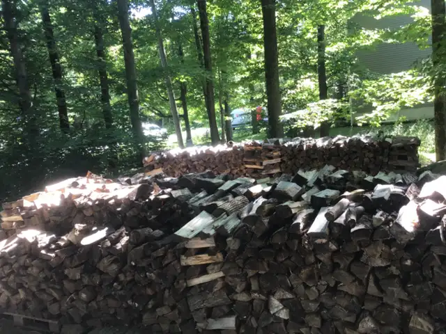 Cordes de bois - 100$ la corde