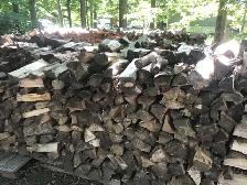 Cordes de bois - 100$ la corde - Photo 2