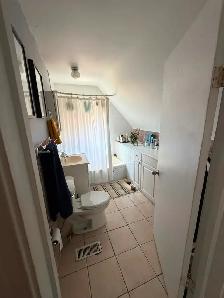 Private & Bright Studio Apt – Yonge/Sheppard - Photo 2