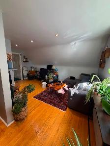 Private & Bright Studio Apt – Yonge/Sheppard - Photo 3