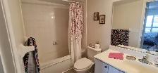 Beautiful 2-Bedroom, 2-Bathroom Condo for Rent. Square One. - Photo 7
