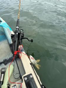 Jackson Fishing Kayak