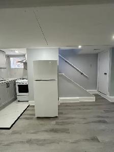 Spacious Newly Renovated 1-Bedroom Basement Suite for Rent - Photo 4