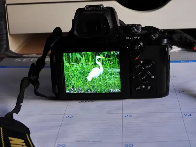 CAMÉRA NIKON P950