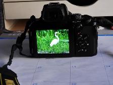 CAMÉRA NIKON P950