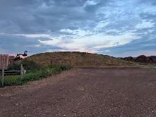 Custom feeding cattle