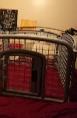 pet playpen