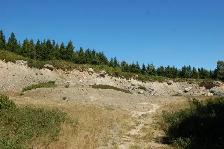 Land in Raynardton Yarmouth county - Photo 3